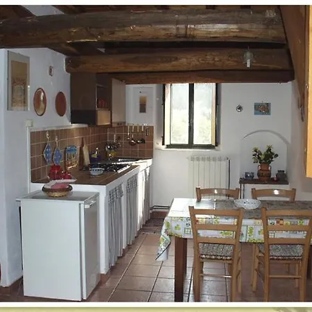 Codavolpe Giardino Di Tea *