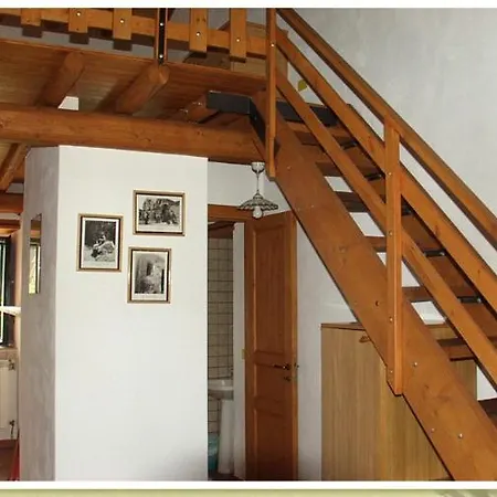 Codavolpe Giardino Di Tea