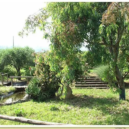 Appartamento Codavolpe Giardino Di Tea *