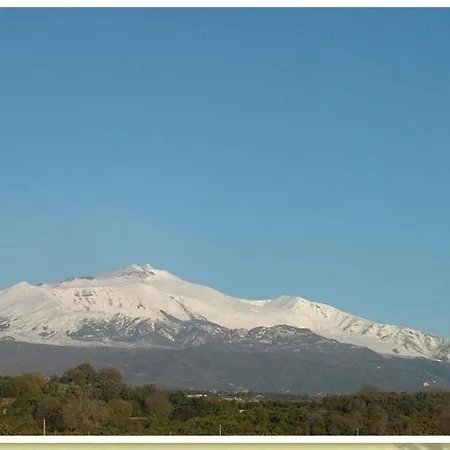 Codavolpe Giardino Di Tea Giarre