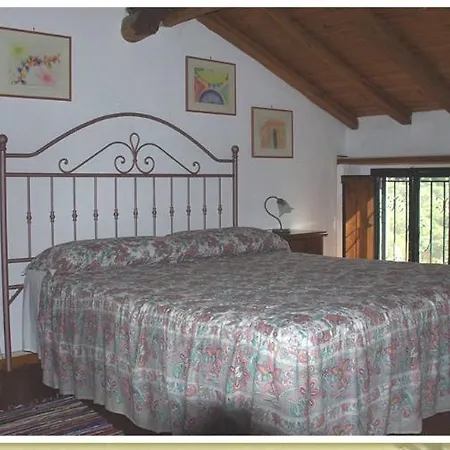 Codavolpe Giardino Di Tea