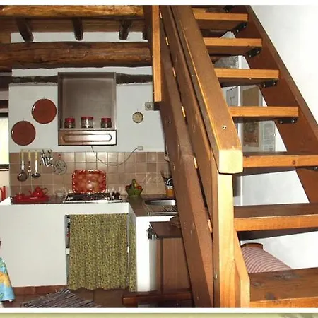 Codavolpe Giardino Di Tea