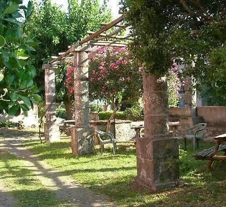 Codavolpe Giardino Di Tea * Giarre