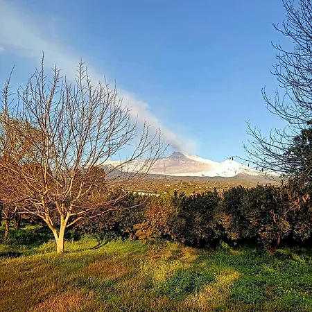Codavolpe Giardino Di Tea * Giarre