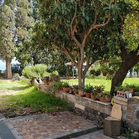 Codavolpe Giardino Di Tea *