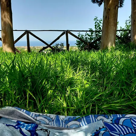 Appartamento Codavolpe Giardino Di Tea *