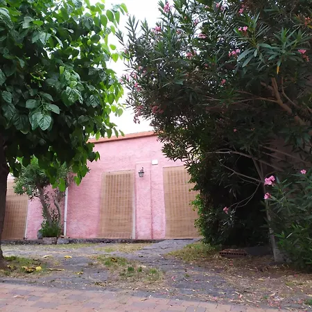 Codavolpe Giardino Di Tea * Giarre