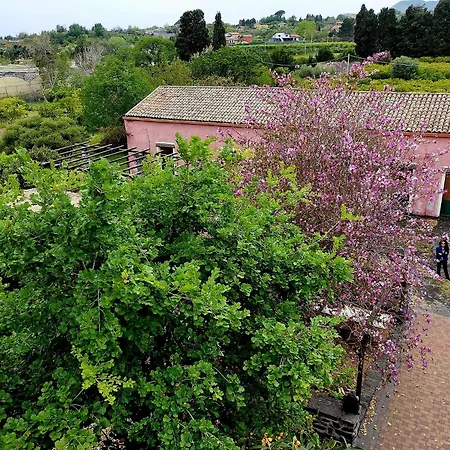 Codavolpe Giardino Di Tea *