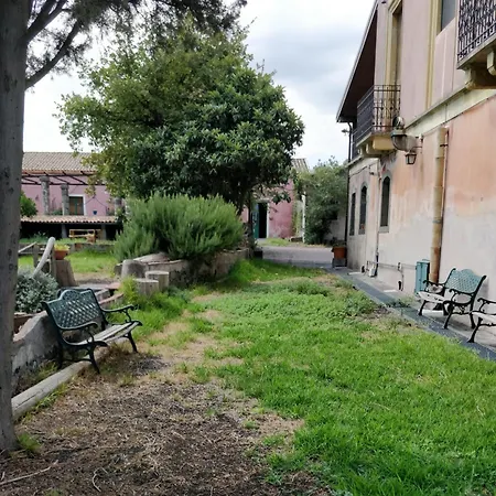 Codavolpe Giardino Di Tea * Giarre