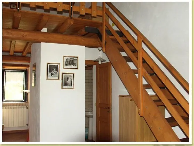 Codavolpe Giardino Di Tea