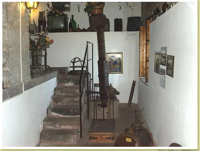 公寓 Codavolpe Giardino Di Tea