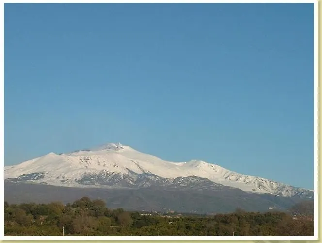 Codavolpe Giardino Di Tea Джарре