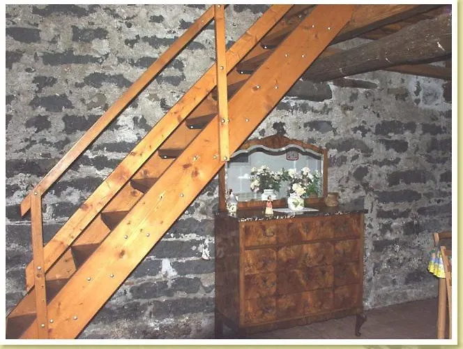 Codavolpe Giardino Di Tea * 加里