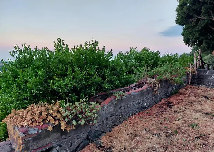 Codavolpe Giardino Di Tea