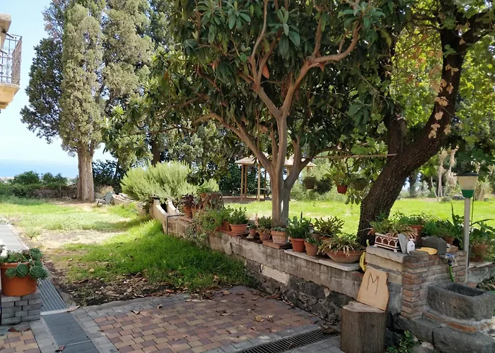 Codavolpe Giardino Di Tea *