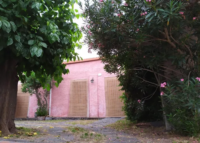 Codavolpe Giardino Di Tea * Джарре