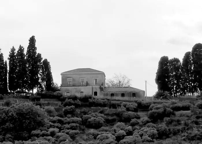 Codavolpe Giardino Di Tea 公寓