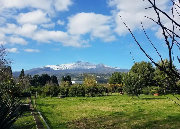 Codavolpe Giardino Di Tea * 加里