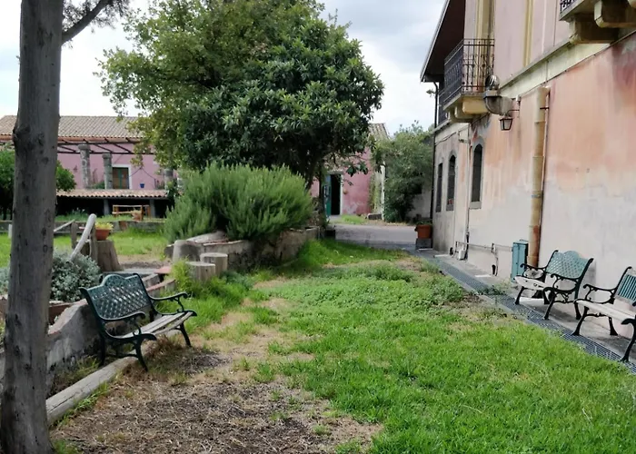 Codavolpe Giardino Di Tea * 加里