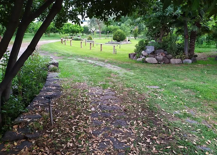 Codavolpe Giardino Di Tea * Джарре