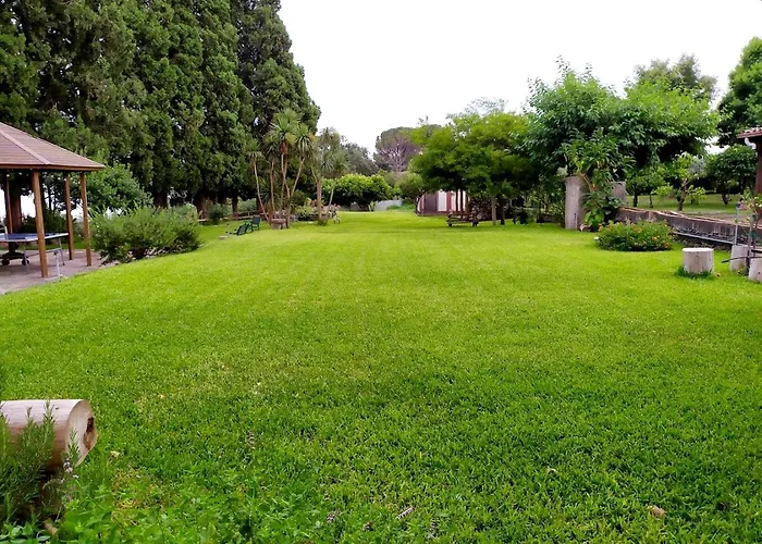 Codavolpe Giardino Di Tea
