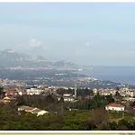 Codavolpe Giardino Di Tea