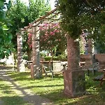 Codavolpe Giardino Di Tea * Giarre