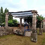 Codavolpe Giardino Di Tea *