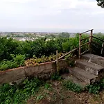 Codavolpe Giardino Di Tea Appartamento Giarre