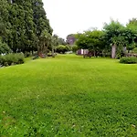 Codavolpe Giardino Di Tea