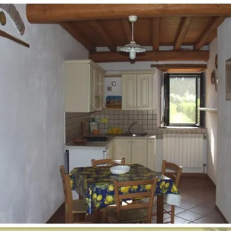 Codavolpe Giardino Di Tea * Giarre