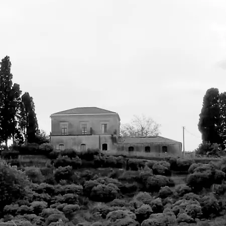 Codavolpe Giardino Di Tea Apartamento