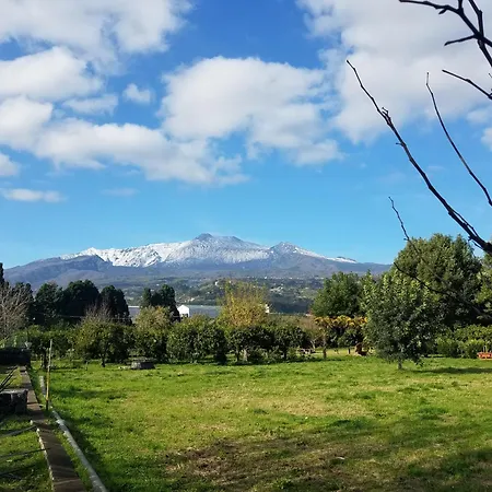Codavolpe Giardino Di Tea * Giarre