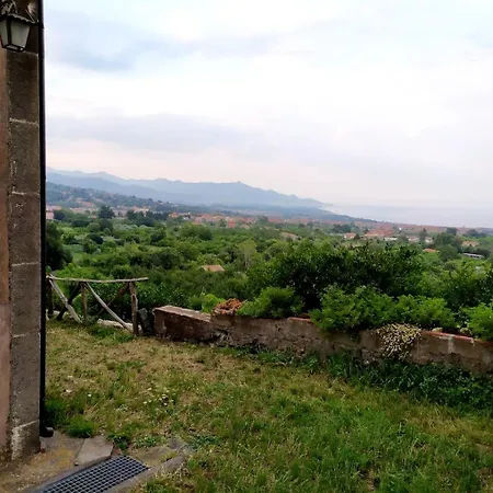 Codavolpe Giardino Di Tea Apartamento Giarre