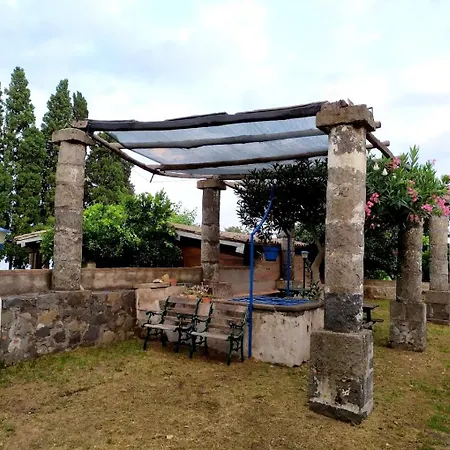 Codavolpe Giardino Di Tea *