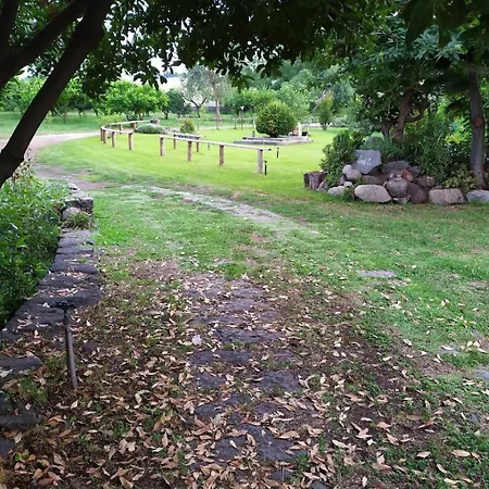 Codavolpe Giardino Di Tea * Giarre