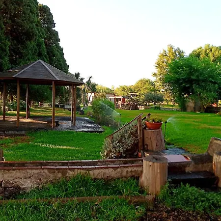 Codavolpe Giardino Di Tea