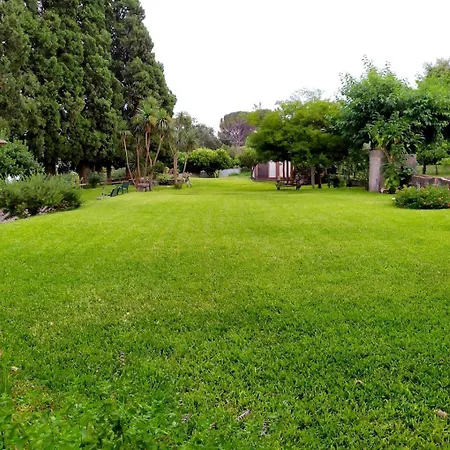 Codavolpe Giardino Di Tea