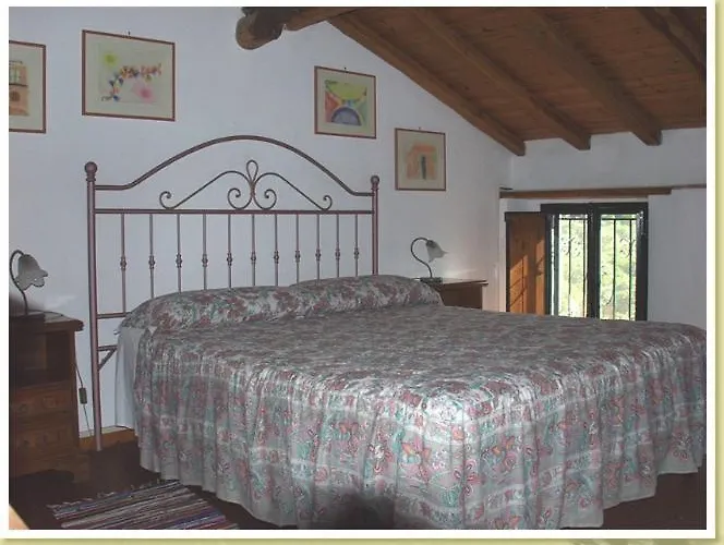 Codavolpe Giardino Di Tea