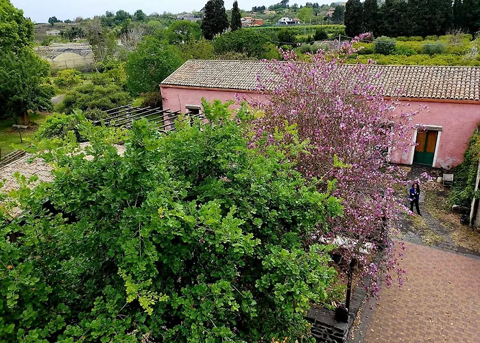 Codavolpe Giardino Di Tea *
