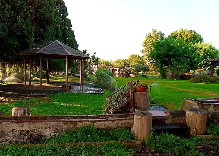 Codavolpe Giardino Di Tea